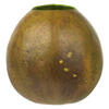 Photograph of 6-7" x 6-8" Basil Bacacuia Gourd 3Pk