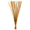 Photograph of 40" Aspen Gold Elephant Reed Bundle 10oz