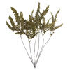 Photograph of 6-10" Green Felci Fern Stem - 6/pk