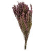 Photograph of 18-20" Pink Heather Erica 4-5oz Bunch