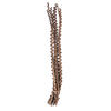Photograph of 32-36" Natural Ladder Branches - 7/Pk
