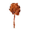 Photograph of 8" Autumn Queen Flower Stem