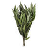 Photograph of 18" Green Willow Eucalyptus 5oz Bundle