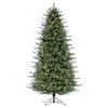Photograph of 8.5' x 54" Slim Itasca Fraser Fir 850WW
