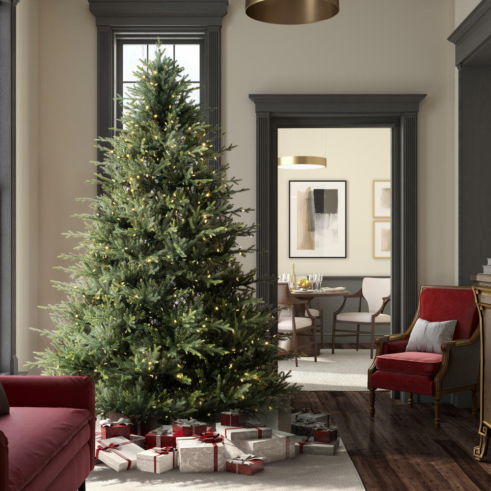 A110376LED - Itasca Frasier Christmas Tree | Vickerman