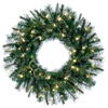 Photograph of 24" Cashmere Wreath LED 50WW