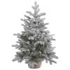 Photograph of 36" x 28" Frosted Sable Pine Tree 206T