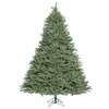 6.5' x 58'' Colorado Spruce 1818Tips UNLIT