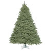 Photograph of 5.5' x 49" Colorado Spruce DuraLit 550CL