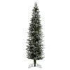 Photograph of 9' x 30" Frosted Tannenbaum Pine 1076T