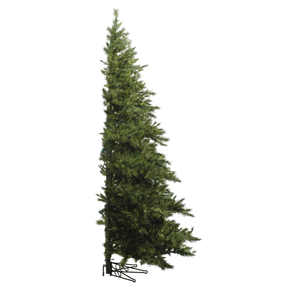 A803976 - Minnesota Pine Unique Tree | Vickerman