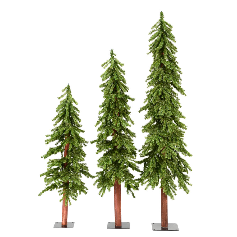 BAUM ヒノキフォレスト Hinoki Forest / ヒノキ フォレスト by Baum / バウム » Reviews