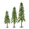 Photograph of 4' 5' 6' Natural Alpine Tree Set 1469T