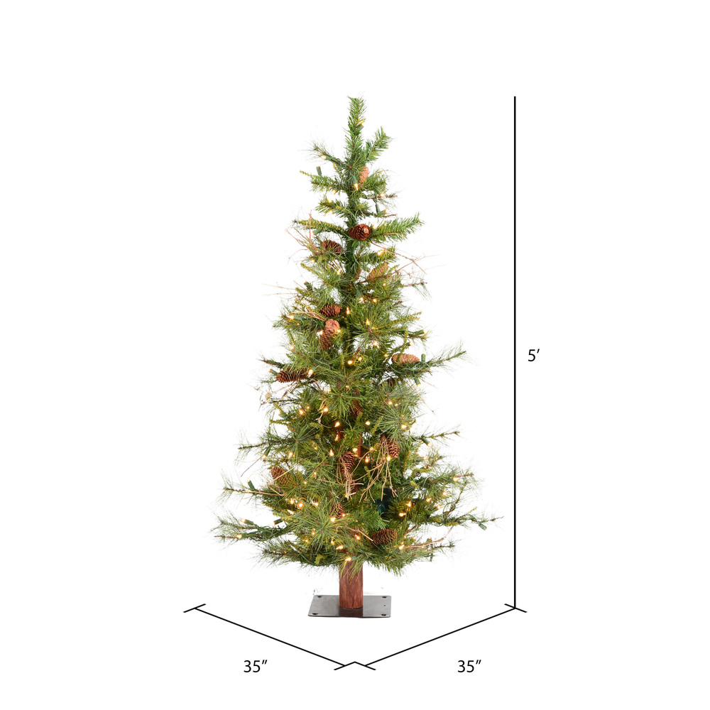 A807551 - Ashland Fir Tree Alpine Tree | Vickerman