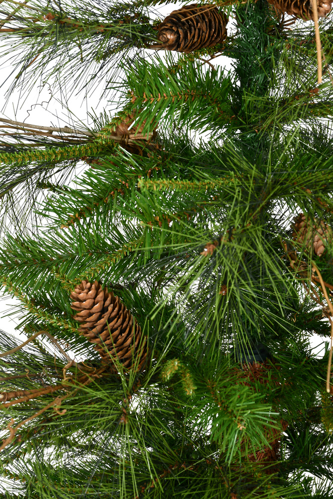 A807560 - Ashland Fir Tree Alpine Tree | Vickerman