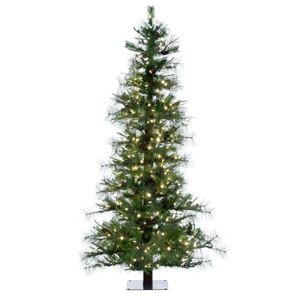 A807561LED - Ashland Fir Tree Christmas Tree | Vickerman