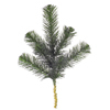 Photograph of 15" Douglas Fir Spray 7 Tips