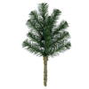 Photograph of 18" Douglas Fir Spray 12 Tips