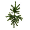 Photograph of 24" Douglas Fir Swag 37 Tips