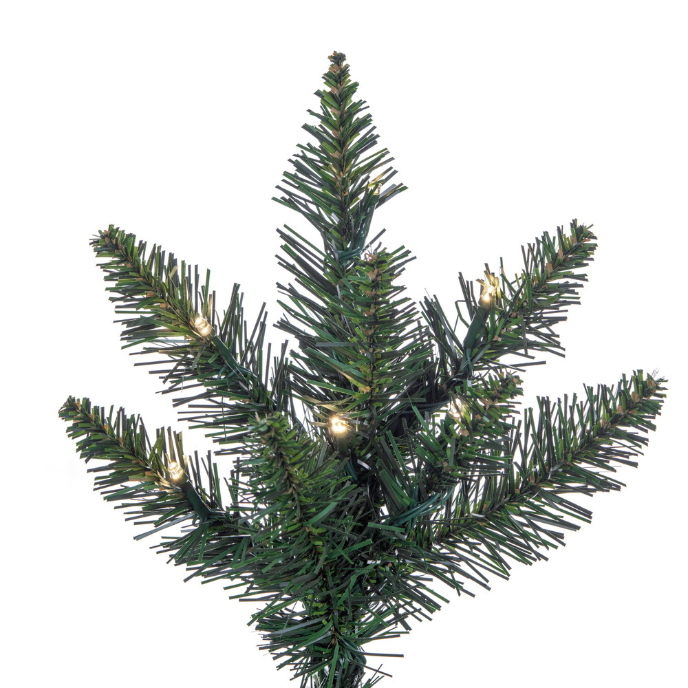 A860885 - Camdon Fir Christmas Tree | Vickerman