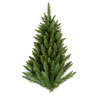 Photograph of 3' x 26" Camdon Fir Wall Tree 97 Tips