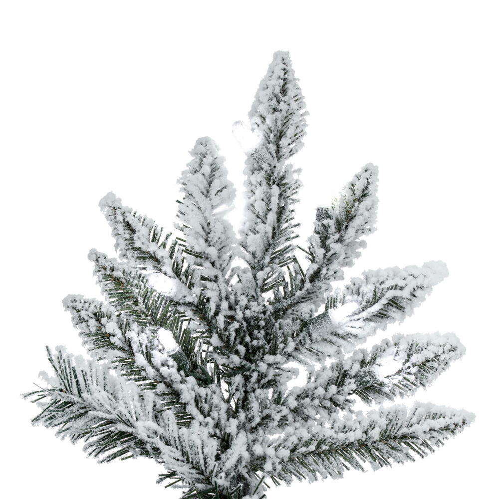 A895176LED - Flocked Utica Fir Christmas Tree | Vickerman