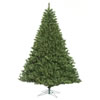 Photograph of 7.5' x 65" Oregon Fir WA LED 900WW