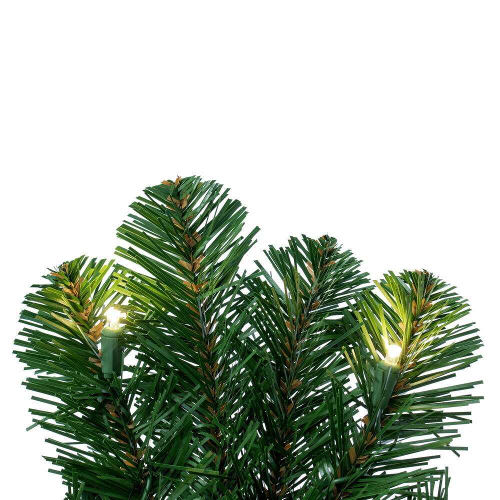 C164661LED - Oregon Fir Wreath | Vickerman