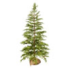 Photograph of 48" Cedar Pinecone Tree 63Tips