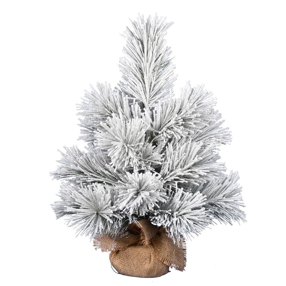 D190820 - Frosted Beckett Pine Christmas Tree