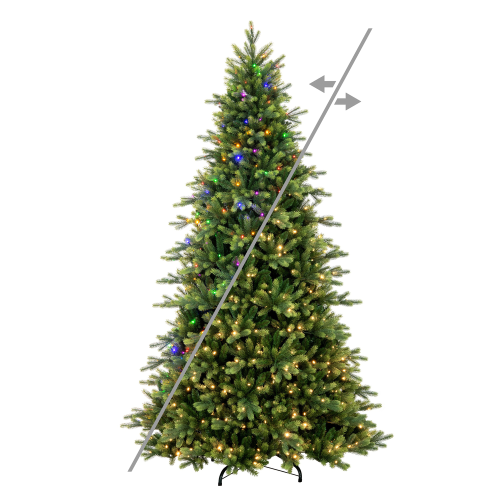 DT214280 - Jersey Frasier Fir Christmas Tree | Vickerman