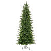 Photograph of 9' x 48" Wistler Spruce 3310Tips