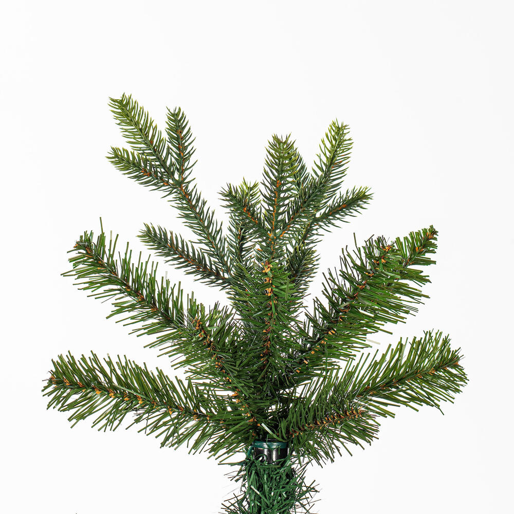 DT235565 - Wistler Spruce Christmas Tree | Vickerman