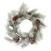 Photograph of 24" Frosted Bellevue Pine Wreath 30T