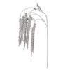 Photograph of 44" Silver Amaranthus Spray 2/Bag