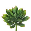 Photograph of 10" Succulent-Green 3/pk