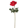 Photograph of 25" Single Velvet Red Rose 3/pk