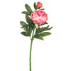 Photograph of 24" Peony Pink w/2 Blooms 3/pk