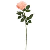 Photograph of 27'' NT Rose Stem-Peach 3/pk
