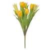 Photograph of 12" Yellow Tulip Bush w/12 flwrs