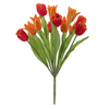 Photograph of 12" Orange Tulip Bush w/12 flwrs