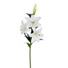 Photograph of 36" White Lily Spray 2/pk