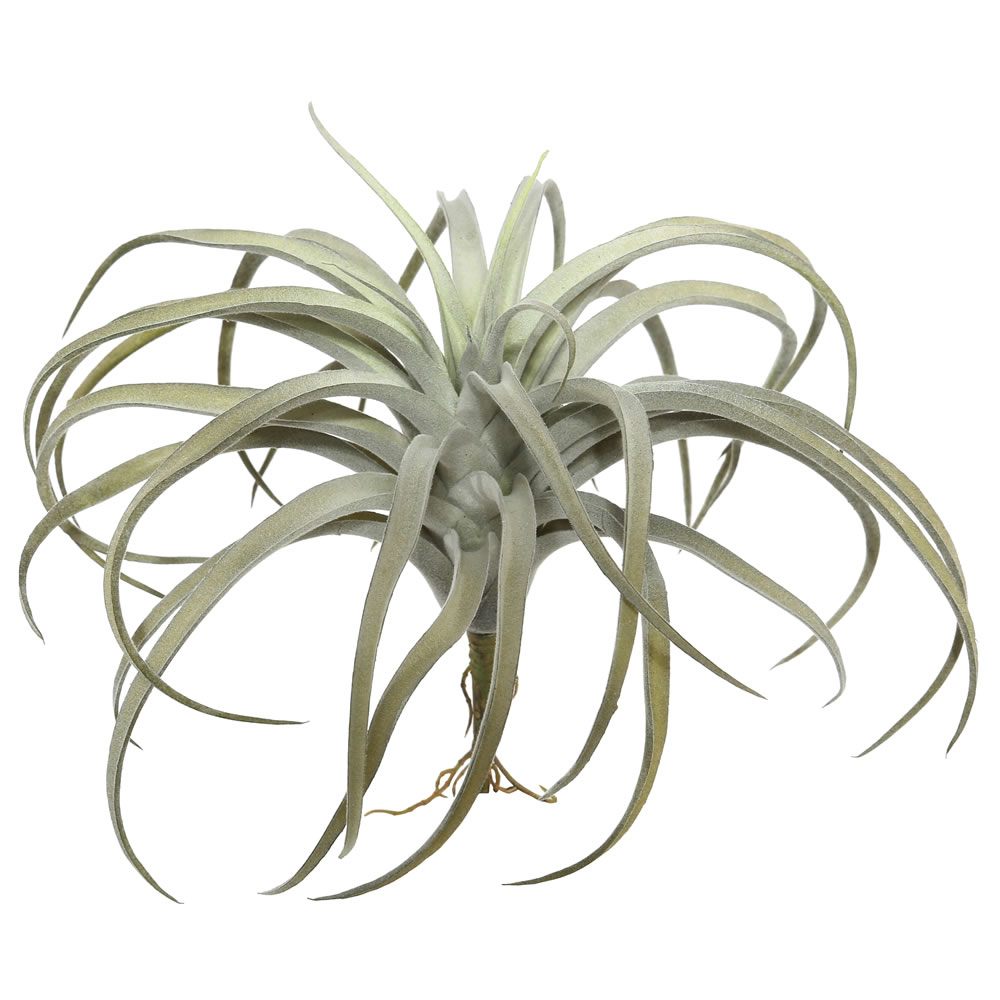 FE171901 - Succulent Everyday Succulent | Vickerman