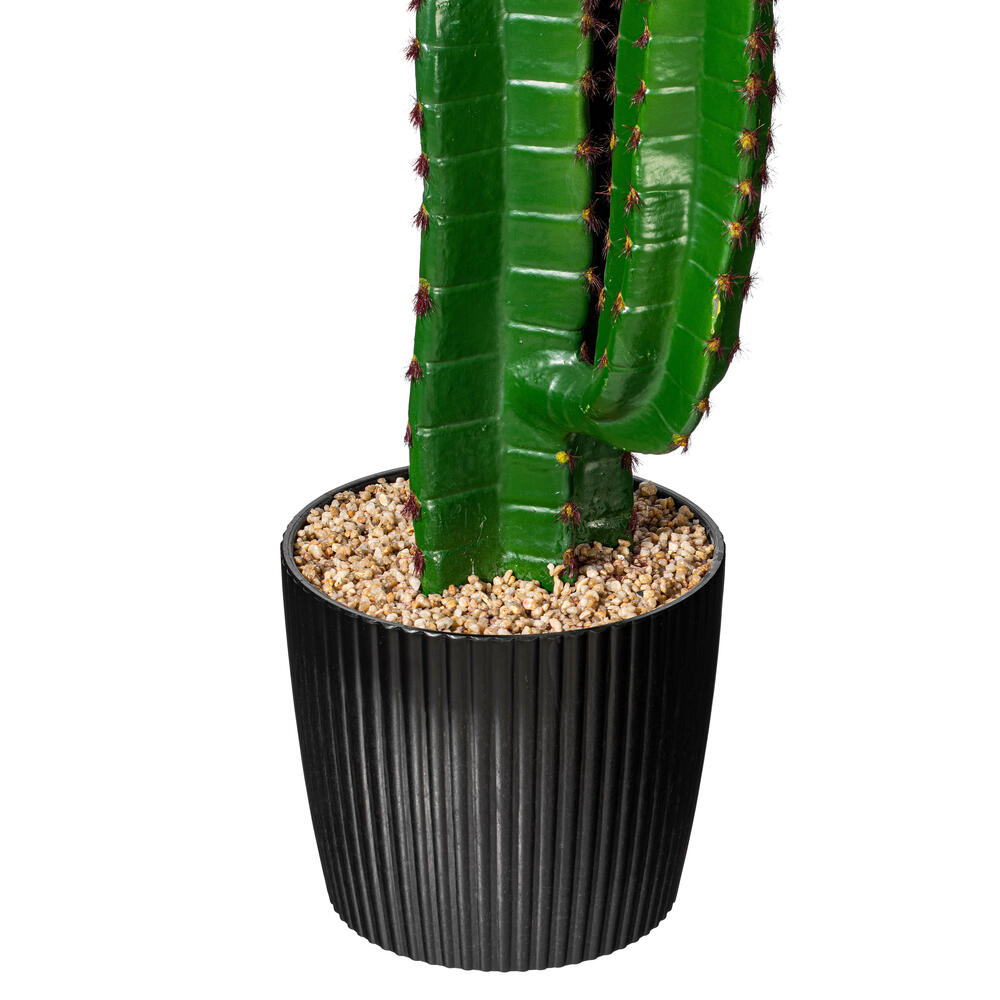 FE180201 - Cactus Everyday Succulent | Vickerman