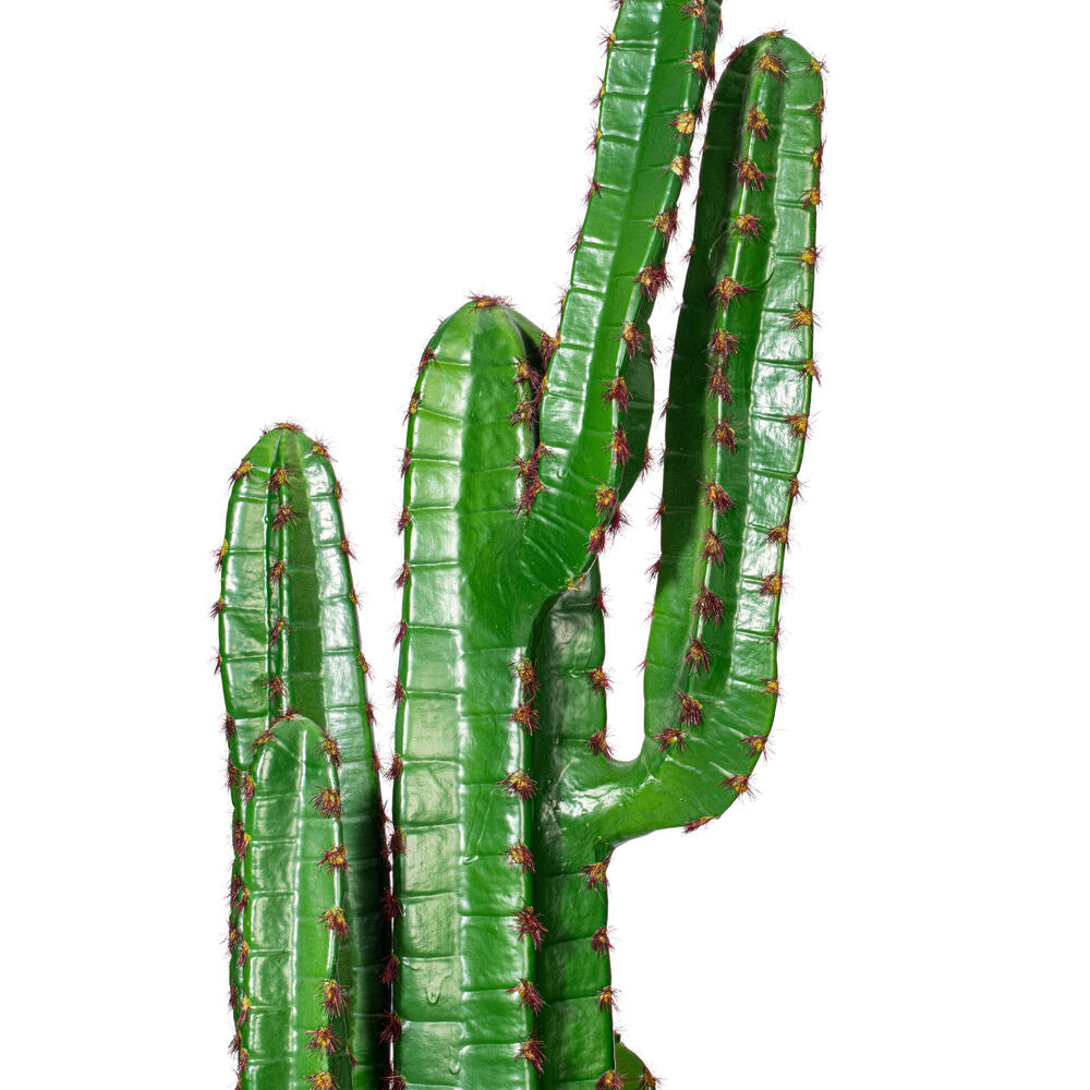 FE180201 - Cactus Everyday Succulent | Vickerman