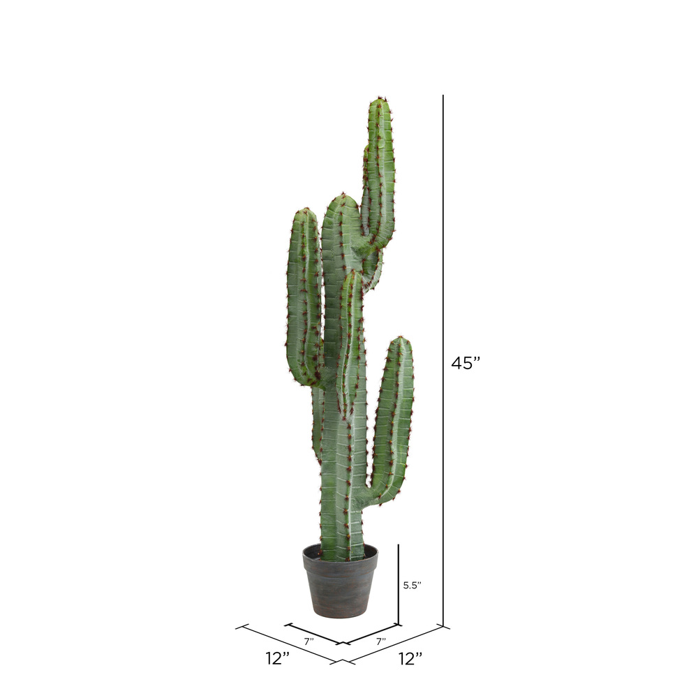 CACTUS、 Another Green Cactus® - Appendiabiti Cactus - GUFRAM - DTime
