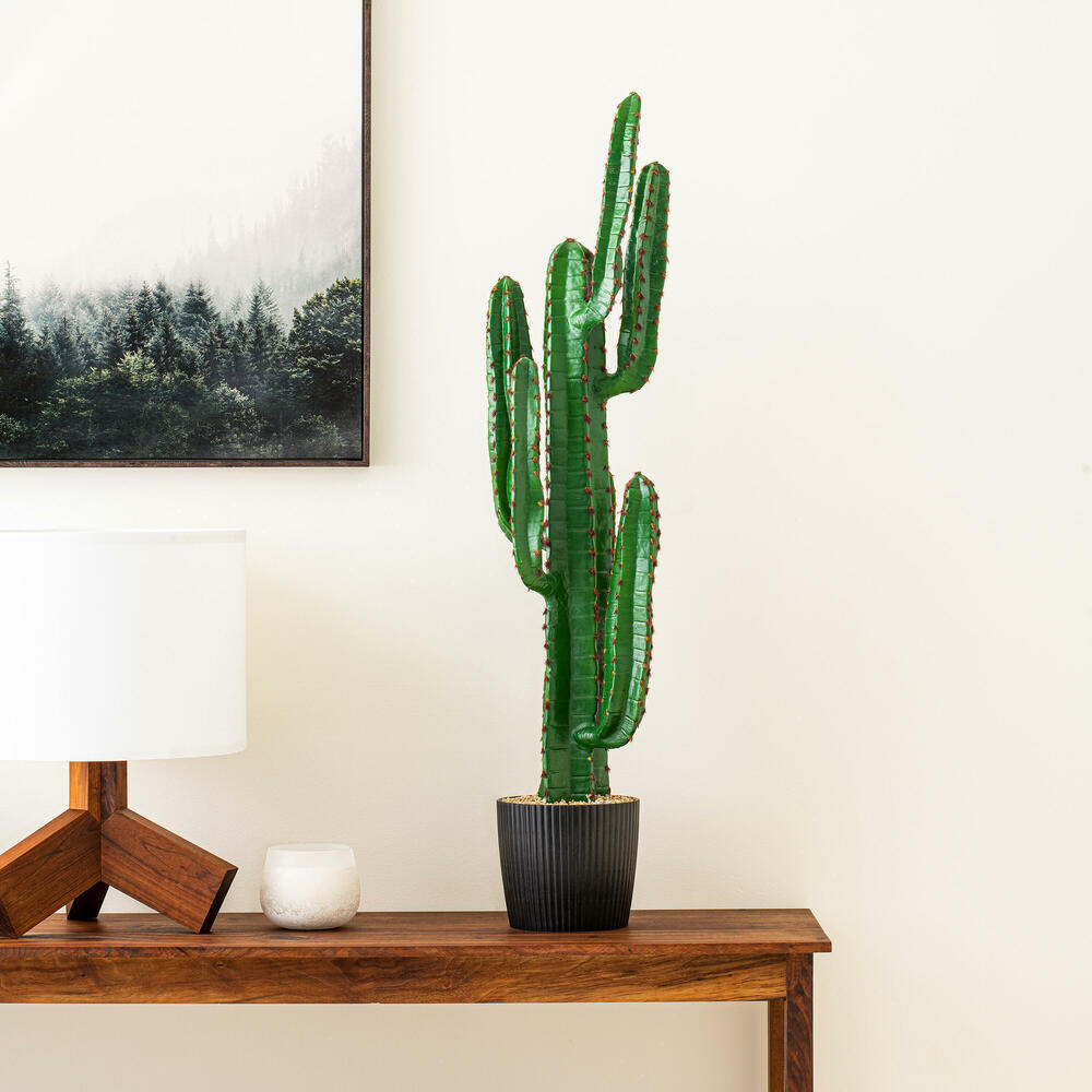 FE180201 - Cactus Everyday Succulent | Vickerman