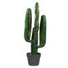Photograph of 27" Green Finger Cactus in Gray/Red Pot