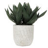 Photograph of 14" Green Succulent in Concrete Gray Pot