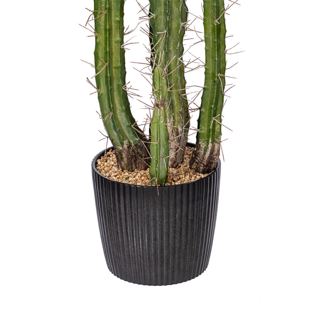 FE191156 - Cactus Everyday Succulent | Vickerman